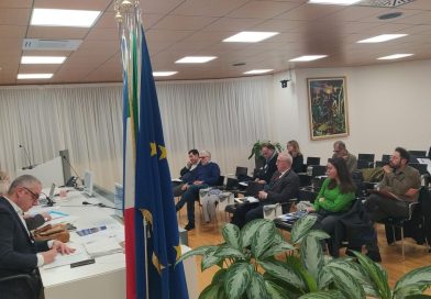 CONSIGLIO DIRETTIVO AICCRE FVG _15 dicembre, Palazzo della Regione, Udine_ CONSIGLIO DIRETTIVO AICCRE FVG _15 dicembre, Palazzo della Regione, Udine_